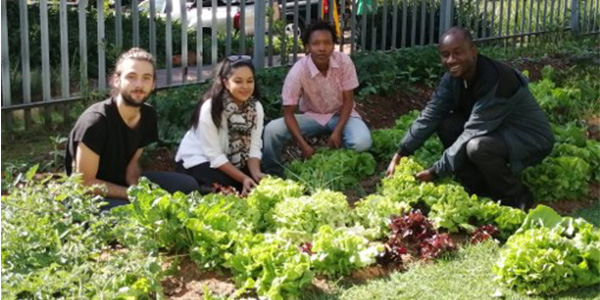 Creating a thriving and regenerative environmental ecosystem at Wits